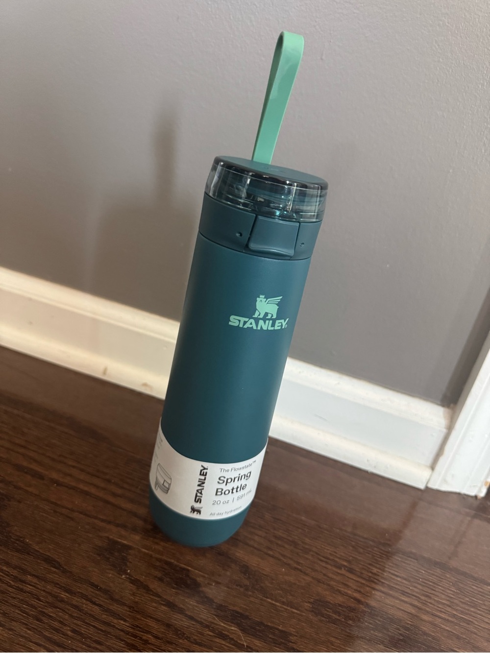Stanley coastal  Teal Water Bottle with Mint Green Carry Strap